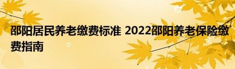 邵阳居民养老缴费标准 2022邵阳养老保险缴费指南 