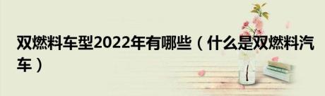 双燃料车型2022年有哪些（什么是双燃料汽车）