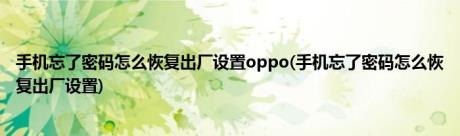 手机忘了密码怎么恢复出厂设置oppo(手机忘了密码怎么恢复出厂设置)