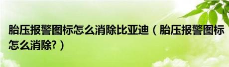 胎压报警图标怎么消除比亚迪（胎压报警图标怎么消除?）