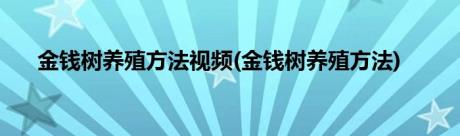 金钱树养殖方法视频(金钱树养殖方法)