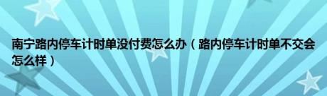 南宁路内停车计时单没付费怎么办（路内停车计时单不交会怎么样）