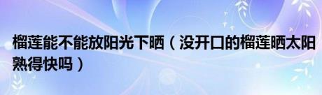 榴莲能不能放阳光下晒（没开口的榴莲晒太阳熟得快吗）