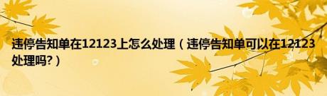 违停告知单在12123上怎么处理（违停告知单可以在12123处理吗?）