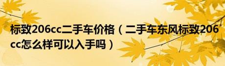 标致206cc二手车价格（二手车东风标致206cc怎么样可以入手吗）