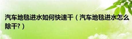 汽车地毯进水如何快速干（汽车地毯进水怎么除干?）