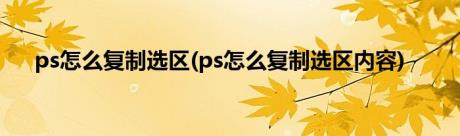 ps怎么复制选区(ps怎么复制选区内容)