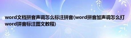 word文档拼音声调怎么标注拼音(word拼音加声调怎么打 word拼音标注图文教程)