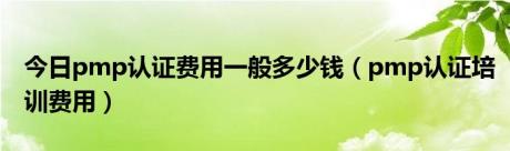 今日pmp认证费用一般多少钱（pmp认证培训费用）