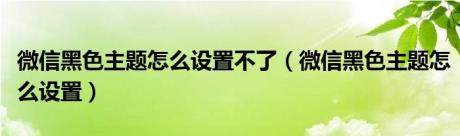 微信黑色主题怎么设置不了（微信黑色主题怎么设置）