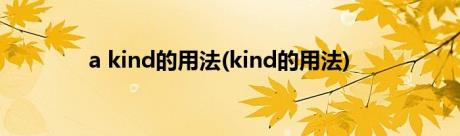 a kind的用法(kind的用法)