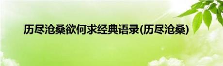 历尽沧桑欲何求经典语录(历尽沧桑)