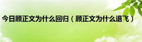 今日顾正文为什么回归（顾正文为什么退飞）