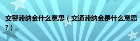 交警滞纳金什么意思（交通滞纳金是什么意思?）