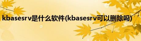 kbasesrv是什么软件(kbasesrv可以删除吗)