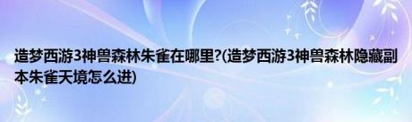 造梦西游3神兽森林朱雀在哪里?(造梦西游3神兽森林隐藏副本朱雀天境怎么进)