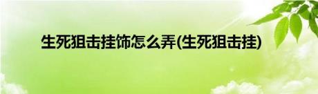 生死狙击挂饰怎么弄(生死狙击挂)