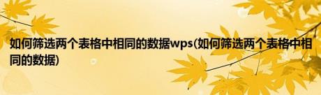 如何筛选两个表格中相同的数据wps(如何筛选两个表格中相同的数据)