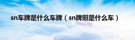 sn车牌是什么车牌（sn牌照是什么车）