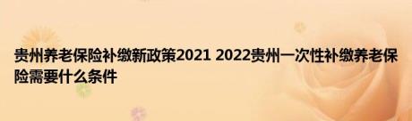 贵州养老保险补缴新政策2021 2022贵州一次性补缴养老保险需要什么条件 