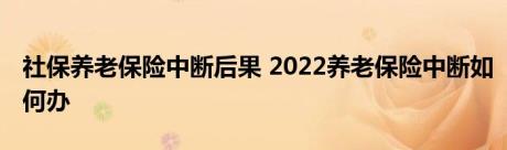 社保养老保险中断后果 2022养老保险中断如何办 