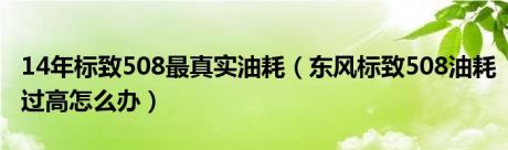 14年标致508最真实油耗（东风标致508油耗过高怎么办）