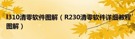 l310清零软件图解（R230清零软件详细教程图解）