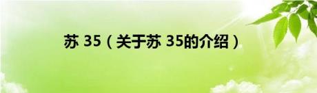 苏 35（关于苏 35的介绍）