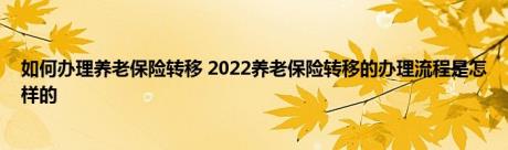 如何办理养老保险转移 2022养老保险转移的办理流程是怎样的 