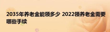 2035年养老金能领多少 2022领养老金需要哪些手续 