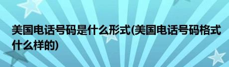 美国电话号码是什么形式(美国电话号码格式什么样的)