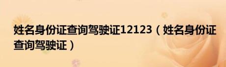 姓名身份证查询驾驶证12123（姓名身份证查询驾驶证）