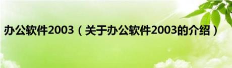 办公软件2003（关于办公软件2003的介绍）