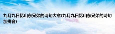 九月九日忆山东兄弟的诗句大意(九月九日忆山东兄弟的诗句加拼音)