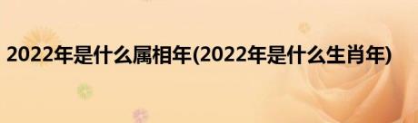 2022年是什么属相年(2022年是什么生肖年)