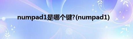 numpad1是哪个键?(numpad1)