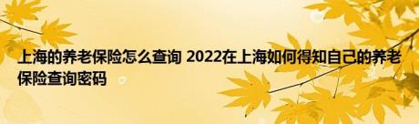 上海的养老保险怎么查询 2022在上海如何得知自己的养老保险查询密码 