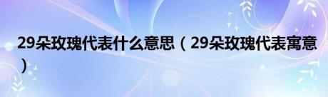 29朵玫瑰代表什么意思（29朵玫瑰代表寓意）