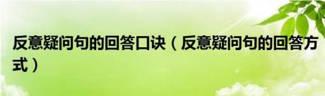 反意疑问句的回答口诀（反意疑问句的回答方式）