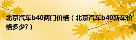 北京汽车b40两门价格（北京汽车b40新车价格多少?）