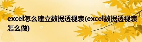 excel怎么建立数据透视表(excel数据透视表怎么做)