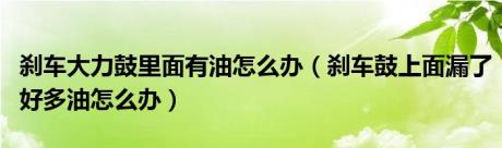 刹车大力鼓里面有油怎么办（刹车鼓上面漏了好多油怎么办）