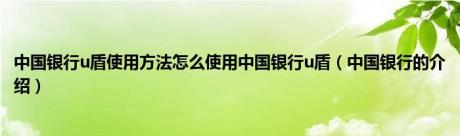 中国银行u盾使用方法怎么使用中国银行u盾（中国银行的介绍）