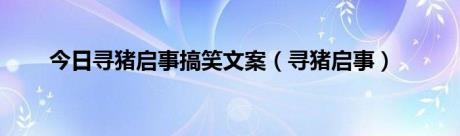 今日寻猪启事搞笑文案（寻猪启事）