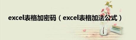 excel表格加密码（excel表格加法公式）