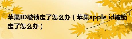 苹果ID被锁定了怎么办（苹果apple id被锁定了怎么办）