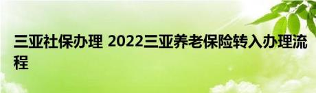 三亚社保办理 2022三亚养老保险转入办理流程 