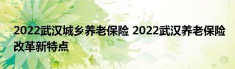 2022武汉城乡养老保险 2022武汉养老保险改革新特点 