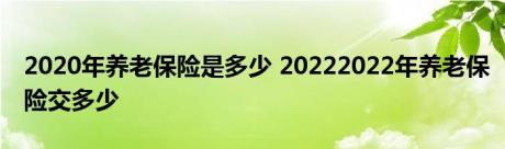 2020年养老保险是多少 20222022年养老保险交多少 