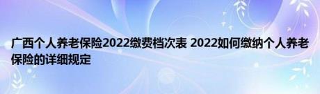 广西个人养老保险2022缴费档次表 2022如何缴纳个人养老保险的详细规定 